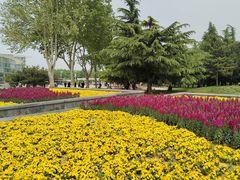 -石家庄市植物园