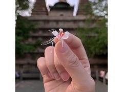 -北京石刻艺术博物馆(五塔寺)