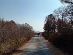 -吉林市朱雀山国家森林公园