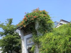 -鲤院·新中式美学·庭院餐厅(夫子庙店)
