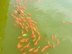 -辽B·小串(总店)