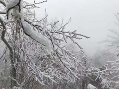 -九峰山