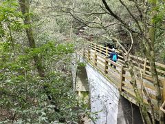 -燕子河大峡谷天坑仙境