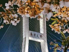 -上海南浦大桥长途旅游客运站