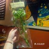 坠入·晚饭之约