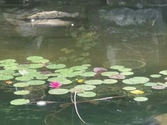 -仁和公园(顺义区)