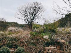 -苏州上方山国家森林公园