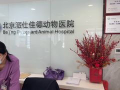 -北京派仕佳德动物医院·超导核磁·CT·神经科·骨科·内外科·急重症管理中心
