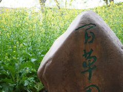 -绍兴古城