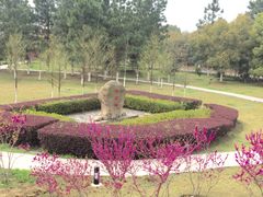 -江南大学(蠡湖校区)