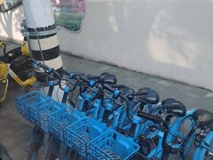 -共青国家森林公园-售票处