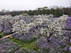 -江苏三台山国家森林公园