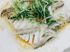 清蒸石斑鱼-宜兴隆家宴·私房菜(泰安华庭店)
