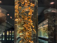 -广东中医药博物馆