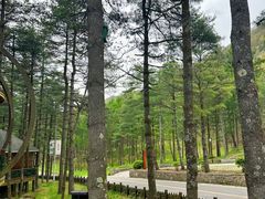 -洛阳白云山景区