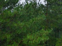 -梦姑塘文化公园