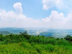 -黄埔油麻山森林公园