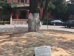 -南京钟山宾馆(江苏省会议中心)