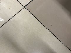 -凤凰中心