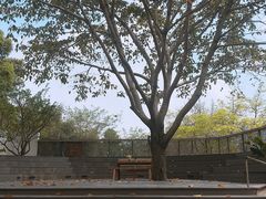 -悦哉·派对·草坪婚礼·围炉煮茶(三圣乡店)