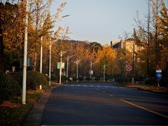-浙江农林大学(东湖校区)