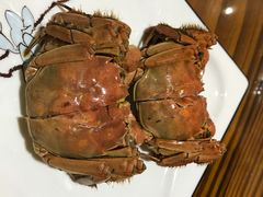 -呼吸森林·生态农庄农家乐私房菜