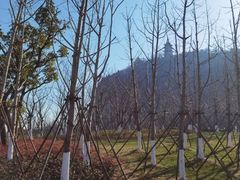 -狼山风景名胜区