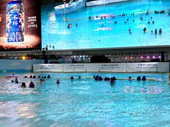 -环球中心海洋乐园