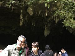 -怀托摩萤火虫洞