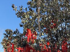 -中心庙
