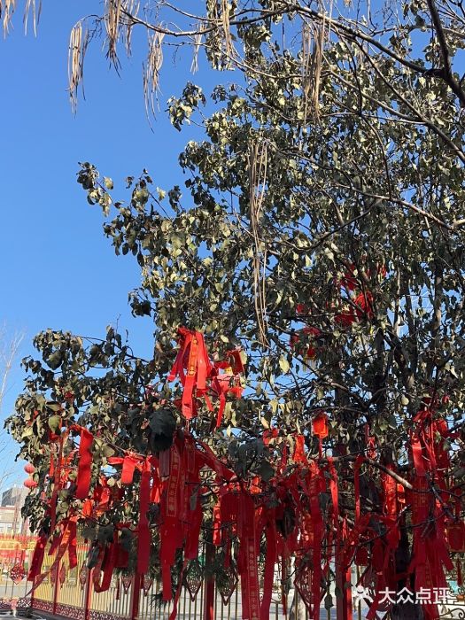 中心庙图片