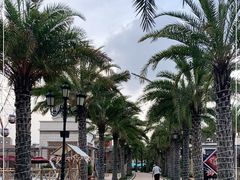 -三亚海昌梦幻海洋不夜城