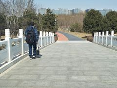 -大兴滨河森林公园