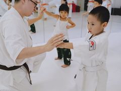 -极真空手道修远道场