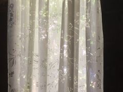 -6号花园别墅酒店