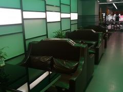 -金吉鸟健身游泳