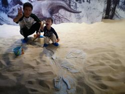 -恐龙探索乐园(磁器口店)