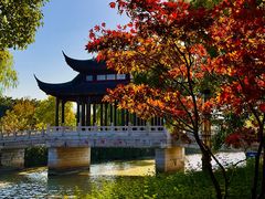 -枫桥景区