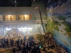 -自贡恐龙博物馆