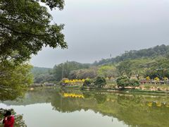 -南国桃园旅游度假区