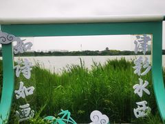 -水西公园