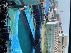 -海合安青岛极地海洋公园