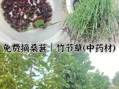 -永定河休闲森林公园