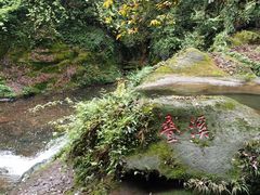 -碧峰峡风景区