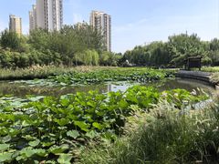 -南翠屏公园