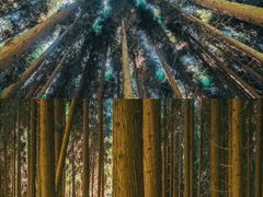 -山王坪喀斯特国家生态公园