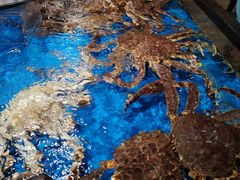 -盒马鲜生(馥邦国际店)