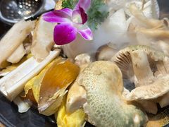 -一朵菌·野生菌探索家火锅(南亚店)