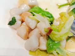 -丽苑大酒店