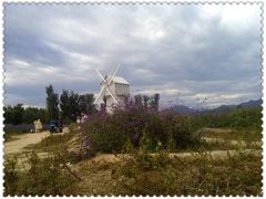 景点-北京东方普罗旺斯薰衣草庄园